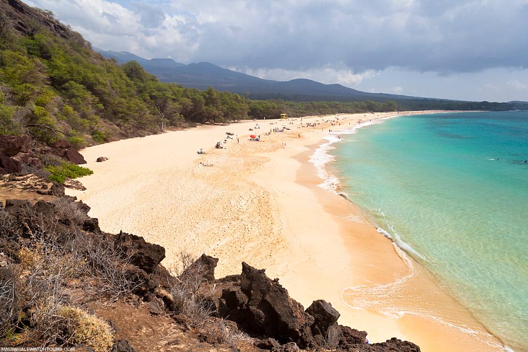 Why Choose Maui Big Beach