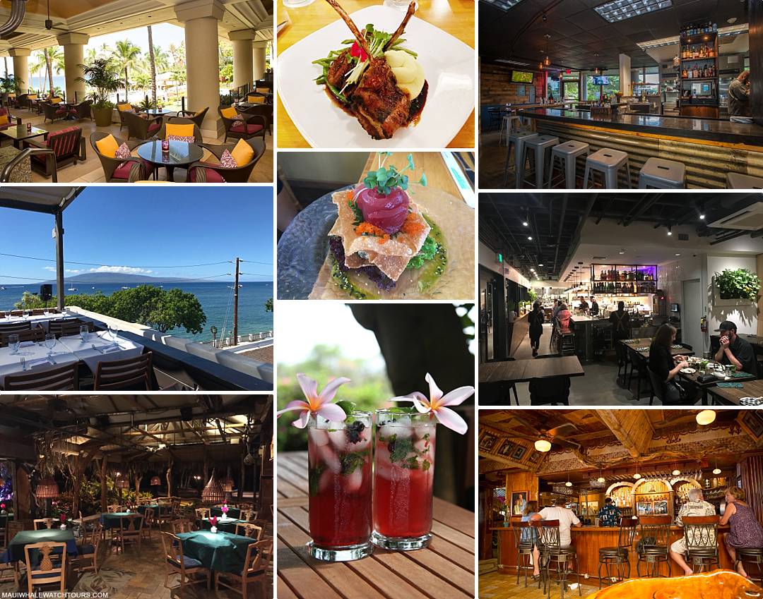Why Choose Maui Dining Options