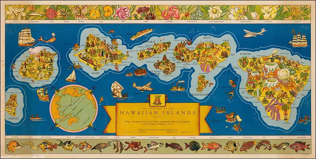 Why Choose Maui Hawaii Map