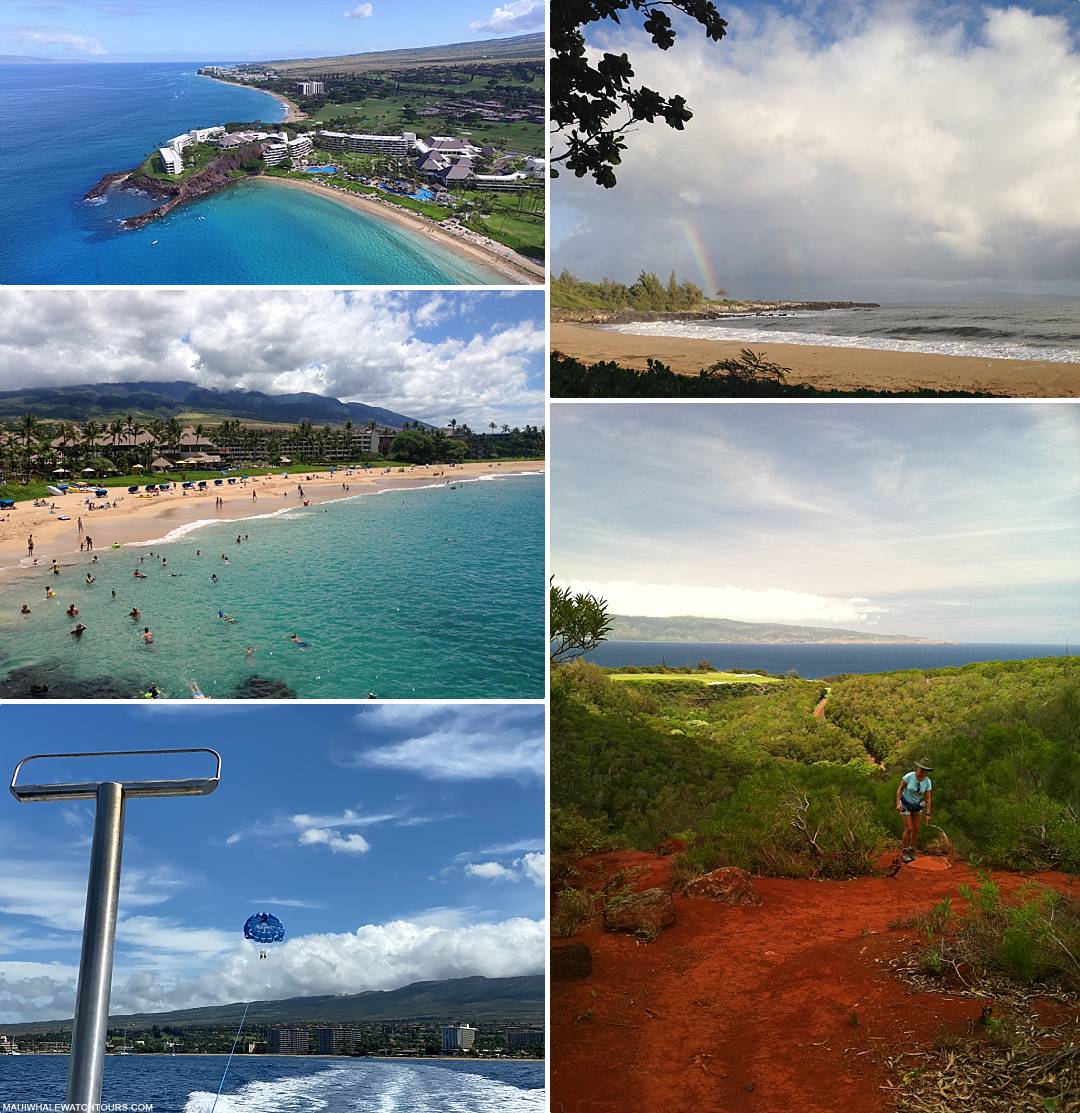 Why Choose Maui Great Activities