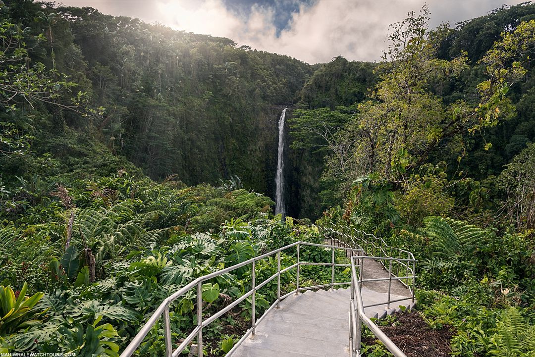 Hawaii Places Worth Visiting Akaka Falls