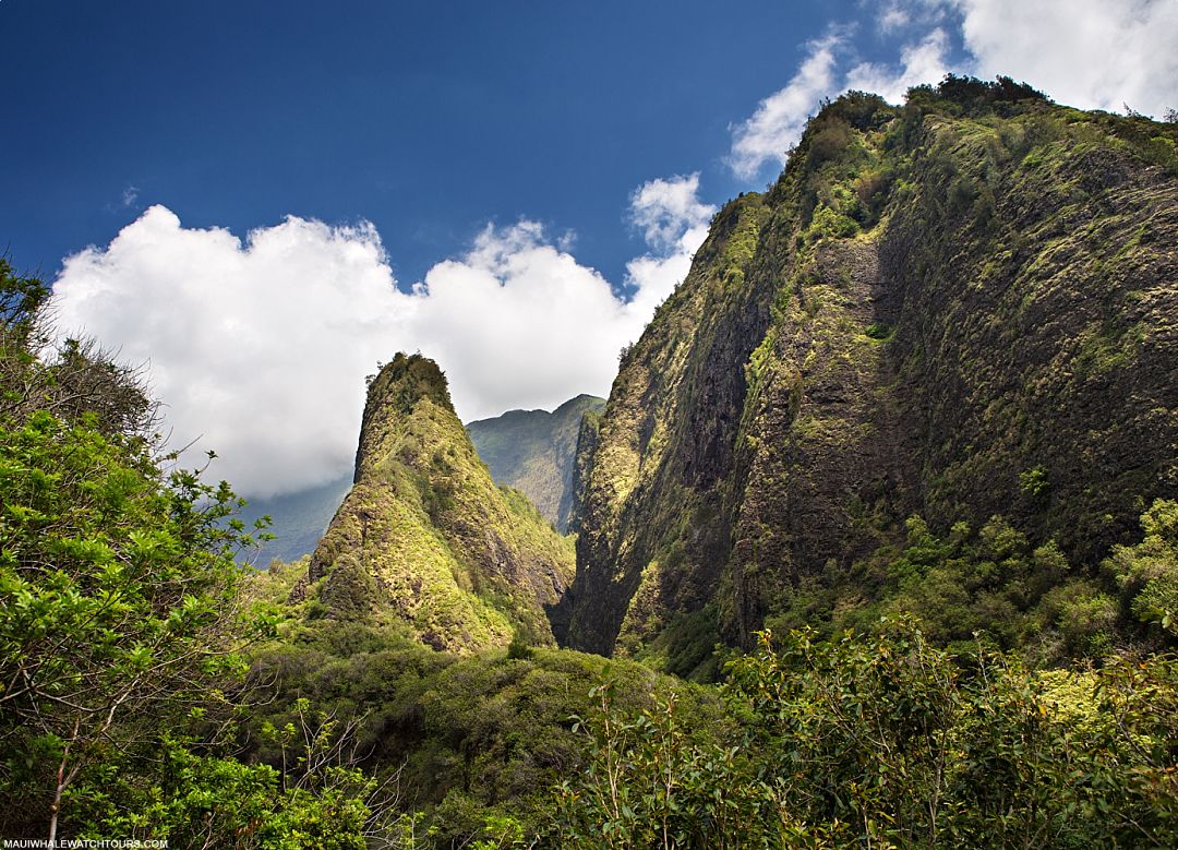 Hawaii Places Worth Visiting Iao Valley
