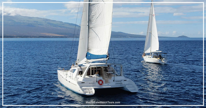 Maui Custom Charters Sailing Tours