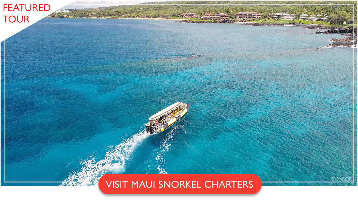 Maui Snorkel Charters