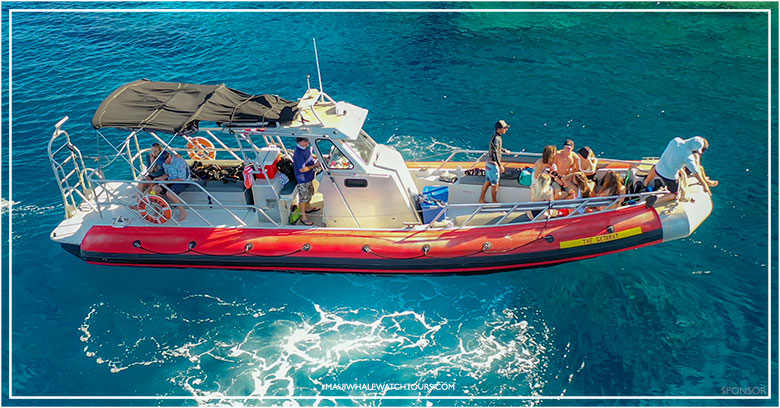 Makena whale watching