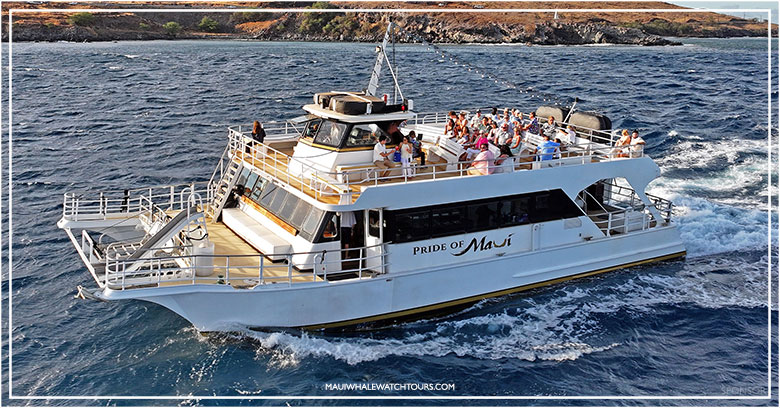 pride of Maui whale watching